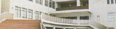 img947e8cf58aw894090v8dz8ec9_0003.jpg