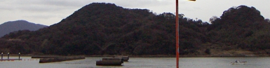pict0043.jpg