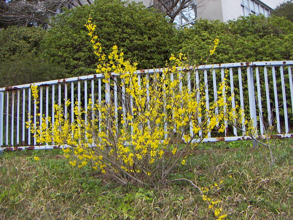 pict0083.jpg