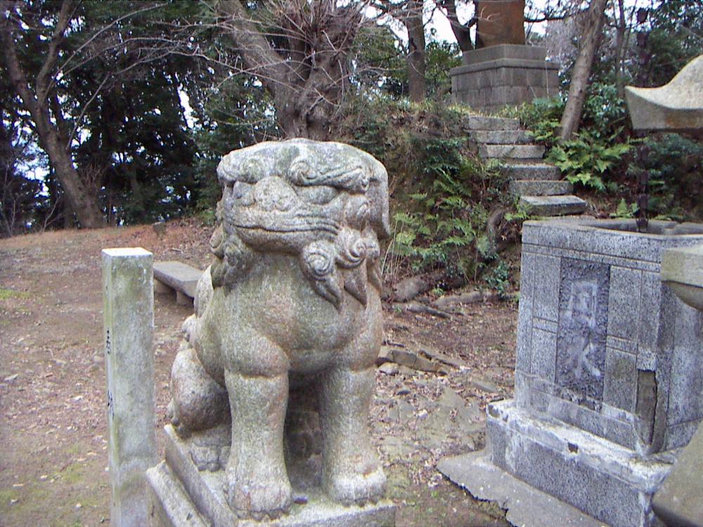 pict0053.jpg
